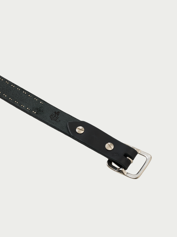 Leatehr belt Type B