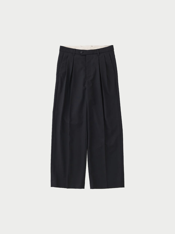 2 tuck pants
