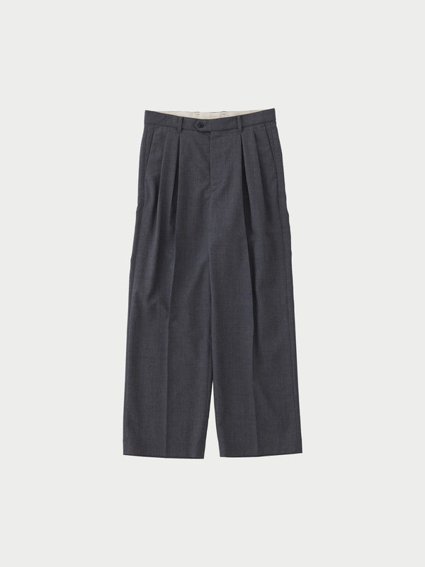 2 tuck pants